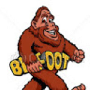 Meet your Posher, Sandy